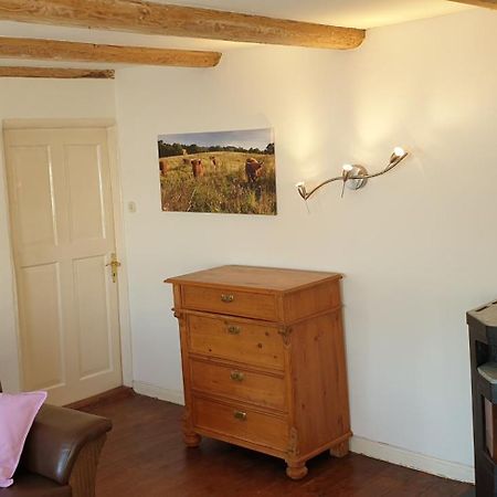 Der Kleine Fuchshof Mit Hund, Pferd Und Huhn Rathlau Exterior foto